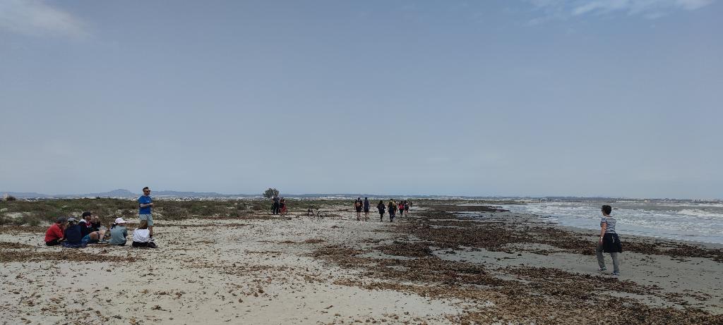 Playa de punta de algas (playas de la llana)