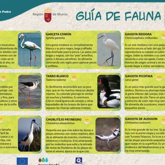 Guía de fauna