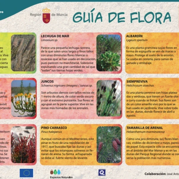 Guía de flora