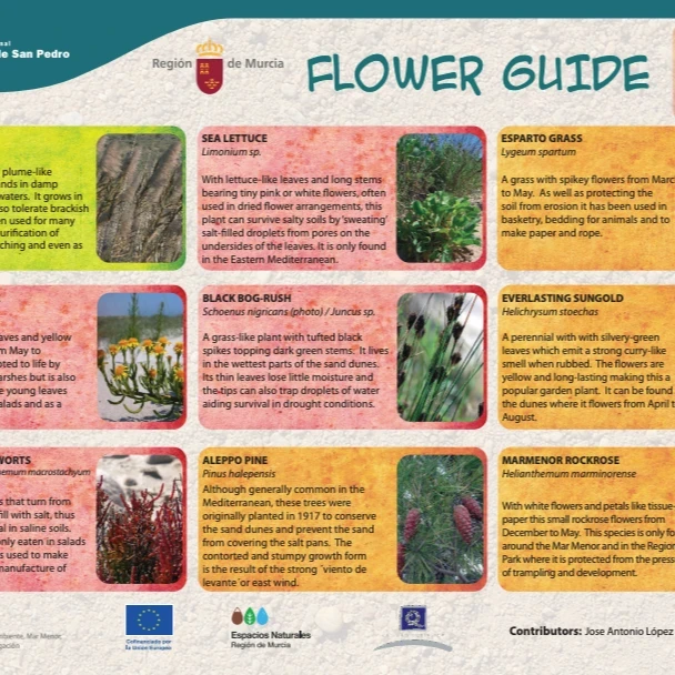 Guía de flora (English)