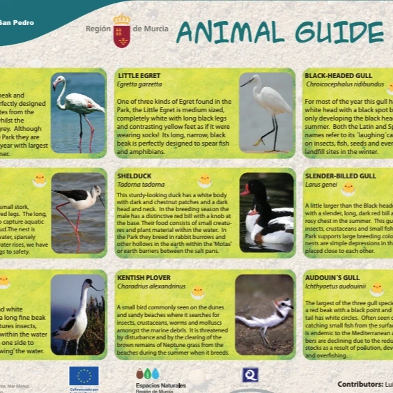 Guía de fauna (English)
