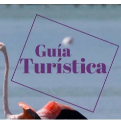 Guía turística