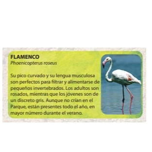 Guía de fauna