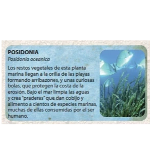Guía de flora