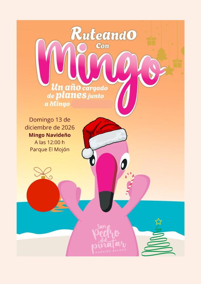 MINGO NAVIDEÑO